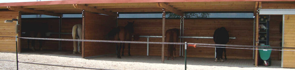 Paddock Paradise Füttern