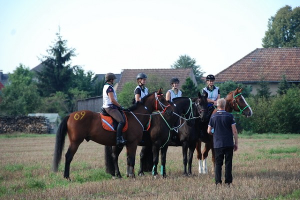 Distanzreiten Gut Heinrichshof